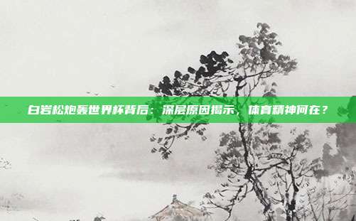 白岩松炮轰世界杯背后：深层原因揭示，体育精神何在？