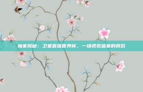 独家揭秘：卫星直播世界杯，一场视觉盛宴的背后