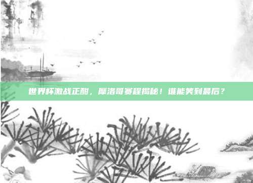 世界杯激战正酣,摩洛哥赛程揭秘!谁能笑到最后?