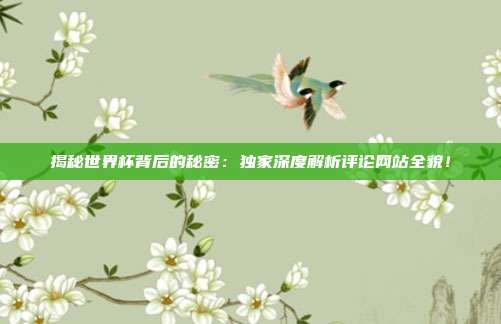 揭秘世界杯背后的秘密：独家深度解析评论网站全貌！