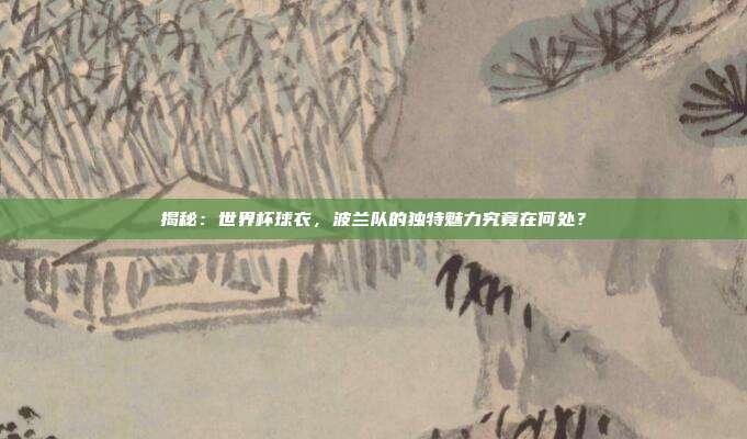 揭秘：世界杯球衣，波兰队的独特魅力究竟在何处？
