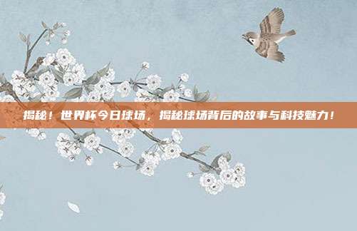揭秘!世界杯今日球场,揭秘球场背后的故事与科技魅力!