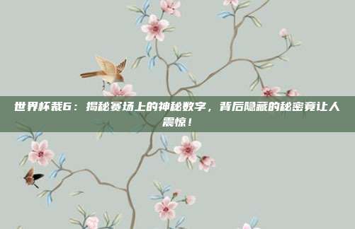 世界杯裁6:揭秘赛场上的神秘数字,背后隐藏的秘密竟让人震惊!