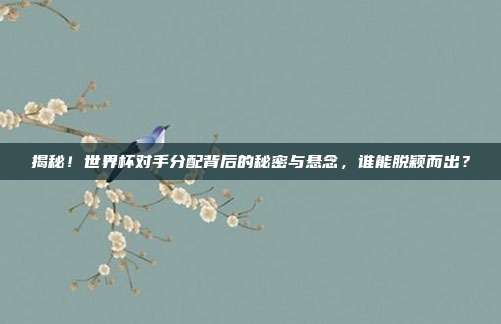 揭秘！世界杯对手分配背后的秘密与悬念，谁能脱颖而出？