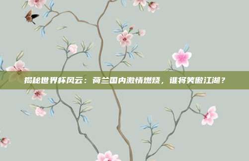 揭秘世界杯风云：荷兰国内激情燃烧，谁将笑傲江湖？