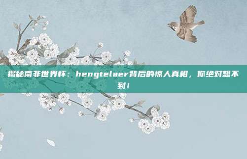 揭秘南非世界杯：hengtelaer背后的惊人真相，你绝对想不到！