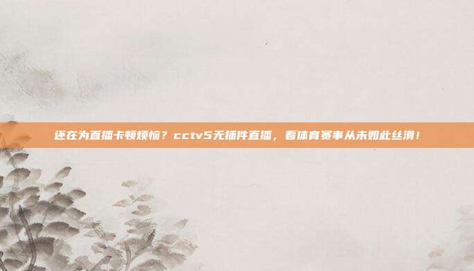 还在为直播卡顿烦恼？cctv5无插件直播，看体育赛事从未如此丝滑！