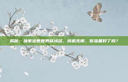 揭秘:独家出售世界杯域名,商机无限,你准备好了吗?