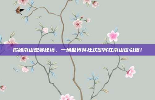 揭秘南山观赛秘境,一场世界杯狂欢即将在南山区引爆!