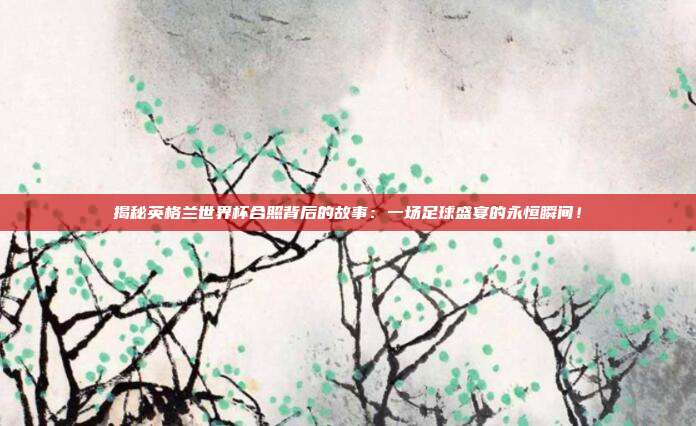 揭秘英格兰世界杯合照背后的故事：一场足球盛宴的永恒瞬间！