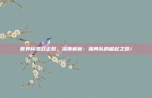 世界杯激战正酣,深度解析:瑞典队的崛起之路!