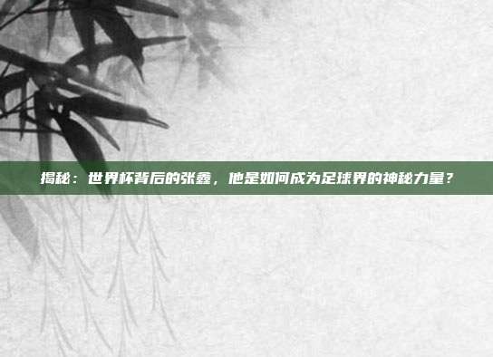 揭秘：世界杯背后的张鑫，他是如何成为足球界的神秘力量？