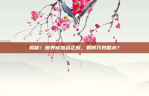 揭秘!世界杯激战正酣,如何巧妙回水?