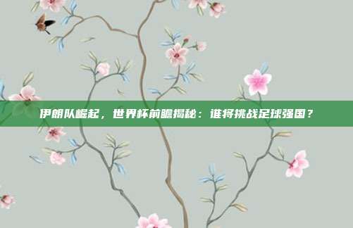 伊朗队崛起，世界杯前瞻揭秘：谁将挑战足球强国？