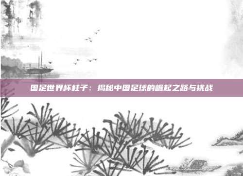 国足世界杯柱子：揭秘中国足球的崛起之路与挑战