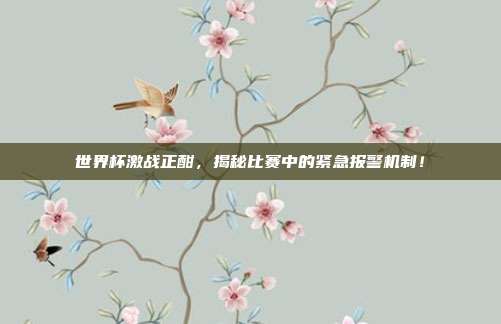 世界杯激战正酣，揭秘比赛中的紧急报警机制！