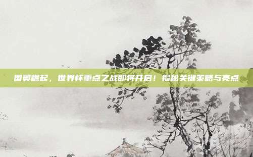 国奥崛起,世界杯重点之战即将开启!揭秘关键策略与亮点