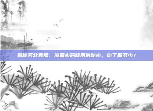 揭秘河北直播:流量密码背后的秘密,你了解多少?