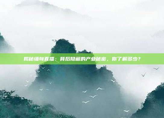 揭秘缅甸直播：背后隐藏的产业秘密，你了解多少？