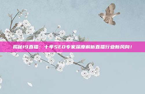 揭秘19直播：十年SEO专家深度解析直播行业新风向！