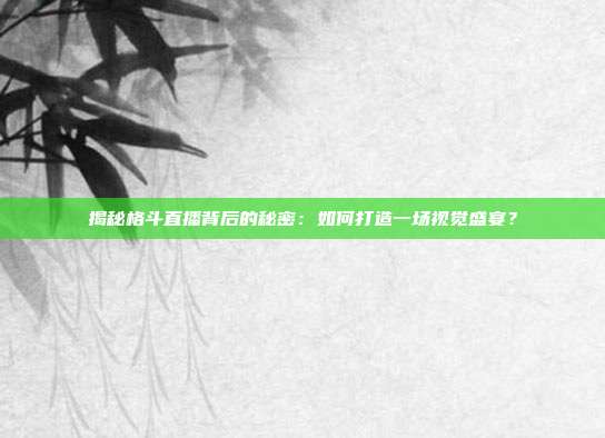 揭秘格斗直播背后的秘密：如何打造一场视觉盛宴？