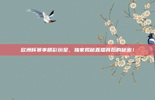 欧洲杯赛事精彩纷呈,独家揭秘直播背后的秘密!