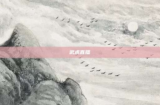 武术直播