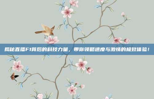 揭秘直播F1背后的科技力量,带你领略速度与激情的极致体验!