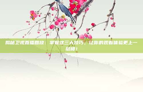 揭秘卫视直播回放:掌握这三大技巧,让你的观看体验更上一层楼!