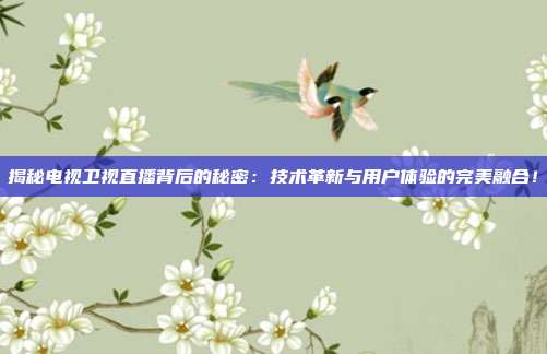 揭秘电视卫视直播背后的秘密：技术革新与用户体验的完美融合！