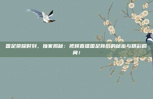 国足荣耀时刻，独家揭秘：视频直播国足背后的秘密与精彩瞬间！