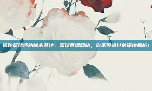 揭秘篮球迷的秘密基地:篮球直播网站,你不可错过的深度解析!