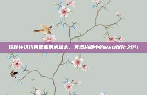揭秘许银川直播背后的秘密：直播热潮中的SEO优化之道！