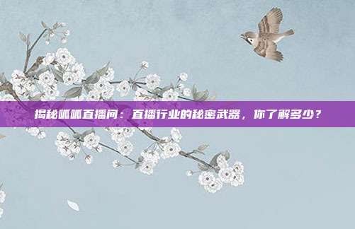 揭秘呱呱直播间：直播行业的秘密武器，你了解多少？