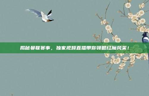 揭秘曼联赛事,独家视频直播带你领略红魔风采!