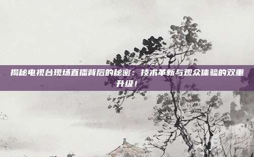揭秘电视台现场直播背后的秘密：技术革新与观众体验的双重升级！