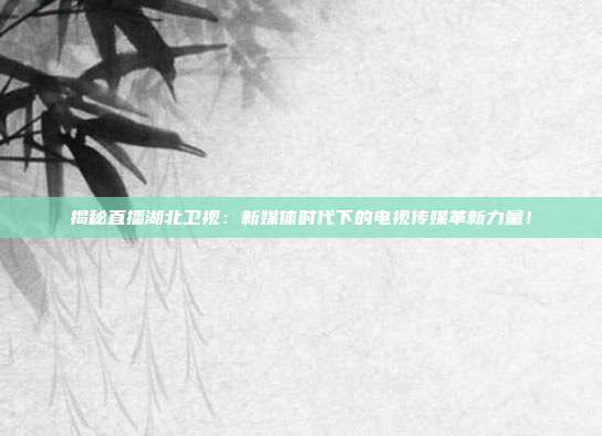 揭秘直播湖北卫视：新媒体时代下的电视传媒革新力量！