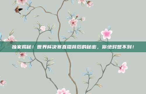 独家揭秘！世界杯决赛直播背后的秘密，你绝对想不到！