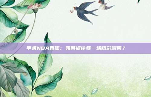 手机NBA直播:如何抓住每一场精彩瞬间?