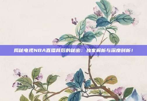 揭秘电视NBA直播背后的秘密：独家解析与深度剖析！