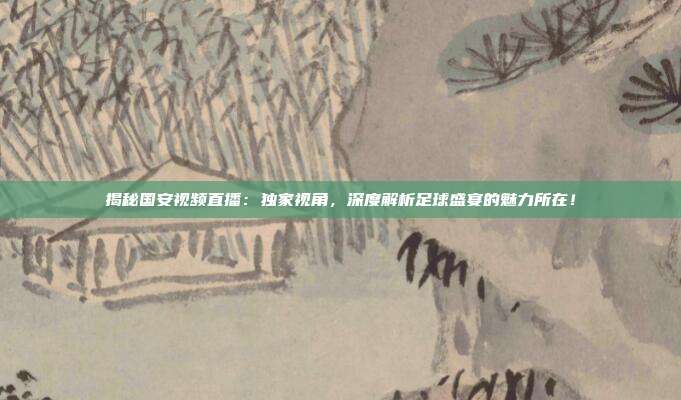 揭秘国安视频直播：独家视角，深度解析足球盛宴的魅力所在！