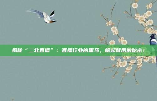揭秘“二北直播”：直播行业的黑马，崛起背后的秘密！