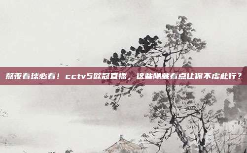 熬夜看球必看！cctv5欧冠直播，这些隐藏看点让你不虚此行？