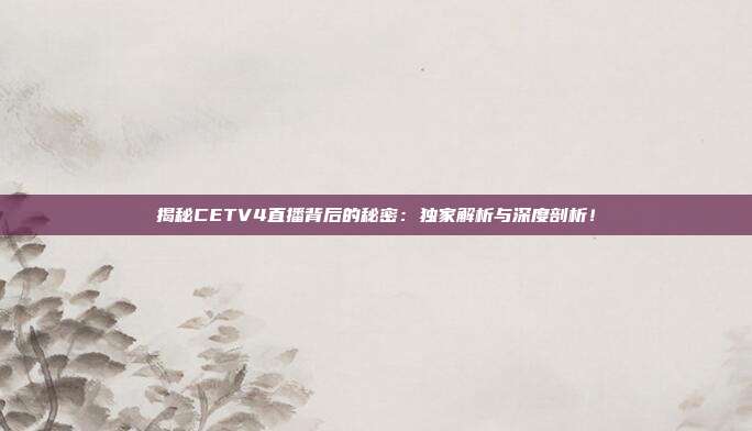 揭秘CETV4直播背后的秘密：独家解析与深度剖析！