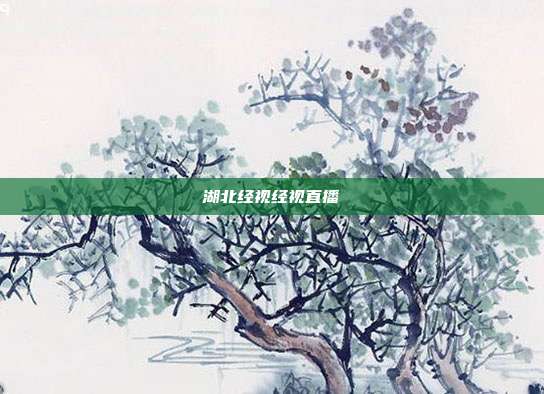 湖北经视经视直播