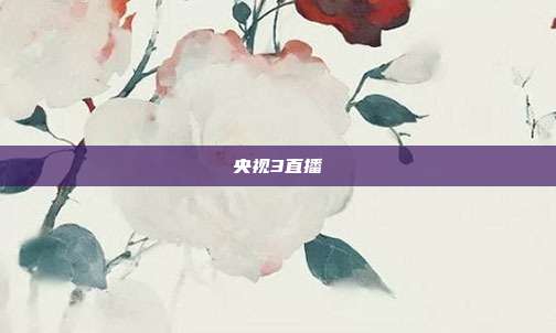 央视3直播
