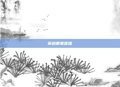 英超哪里直播