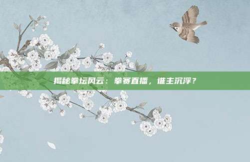 揭秘拳坛风云：拳赛直播，谁主沉浮？