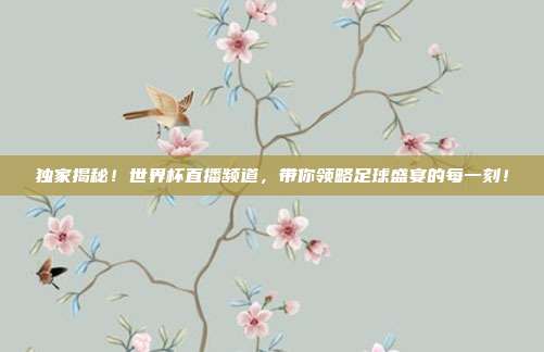 独家揭秘！世界杯直播频道，带你领略足球盛宴的每一刻！