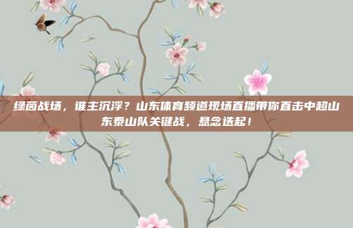 绿茵战场，谁主沉浮？山东体育频道现场直播带你直击中超山东泰山队关键战，悬念迭起！